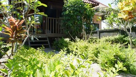 Mangrove Beach Hut