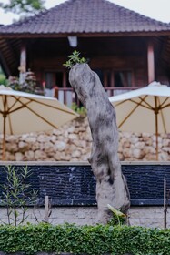 Sunday Huts Lembongan