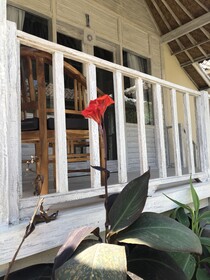The Lucky Cottage