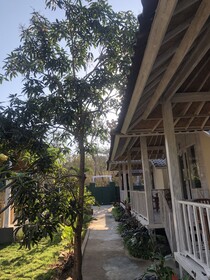 The Lucky Cottage