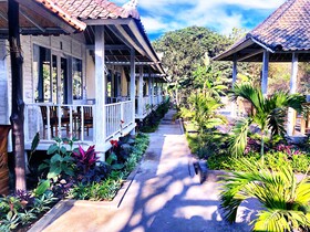 The Lucky Cottage