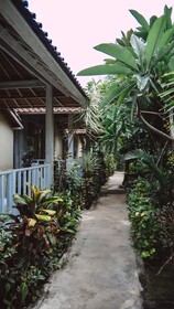 The Lucky Cottage