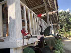 The Lucky Cottage