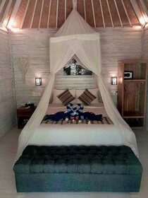 The Lucky Cottage