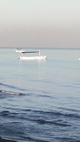 Lovina Haven Boutique Resort