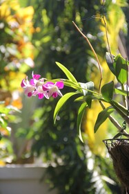Bali Santi Bungalows