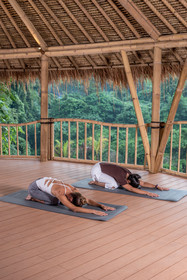 Kaura Bali