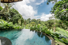 Kaura Bali