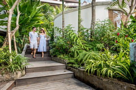 Kaura Bali