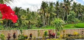 Green Coconut Cottage