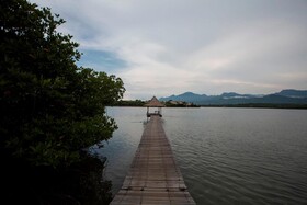 Plataran Menjangan Resort & Spa