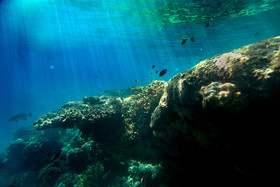 The Menjangan West Bali National Park