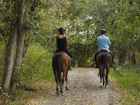 The Menjangan West Bali National Park