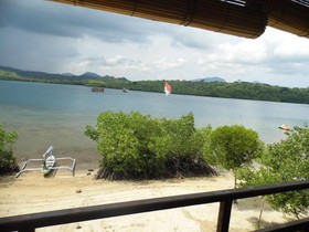 White Sandy Beach Menjangan