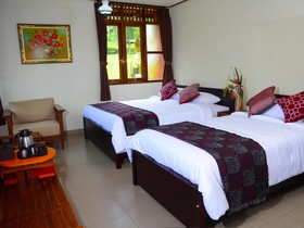 Amartya Puri Green Cottage