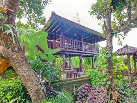 Desa Wisata Umejero By Oyo