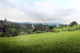 IPSA Villa