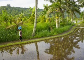 Karang Sari Guesthouse & Restaurant