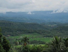 Karang Sari Guesthouse & Restaurant