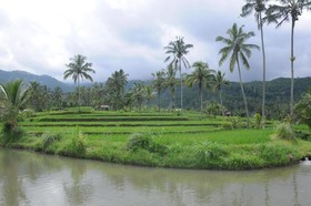 Puri Sunny Guesthouse