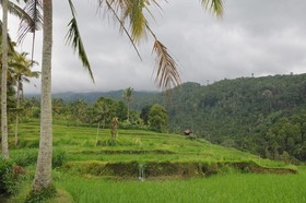 Puri Sunny Guesthouse