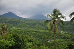 Puri Sunny Guesthouse