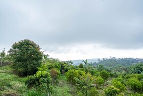 Shankara Munduk Bali