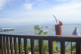 Agung View