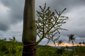 Batan Sabo Cottage