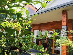 Bhavana Cottage