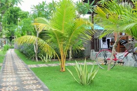 Exotic View Cottage