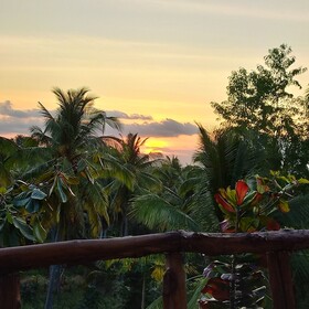 Gading Tree House