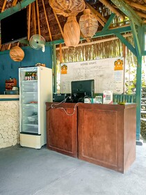 Gading Tree House