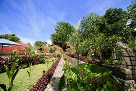 Jungle Paradise