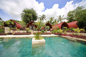 Jungle Paradise