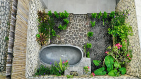 Jungle Paradise