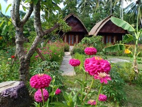 Kubu Artha Bungalow Nusa Penida