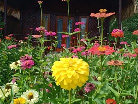 Kubu Artha Bungalow Nusa Penida