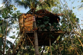 Nyuh Bengkok Tree House