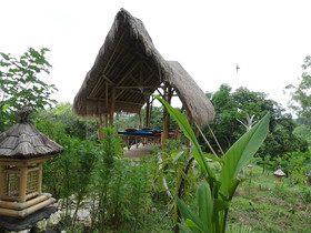 Penida Bambu Green Villas