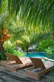 Tarzan Marriott on Penida
