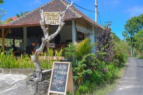 Temeling Jungle Inn