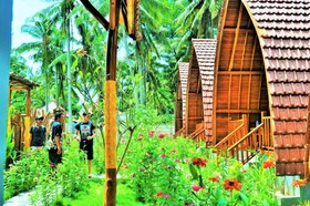 The Peace Arta Bungalow