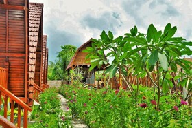 The Peace Arta Bungalow