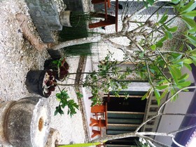 Villa Green House