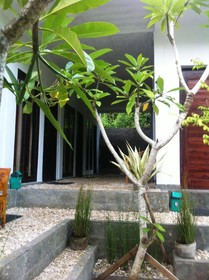 Villa Green House