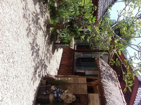 Villa Green House