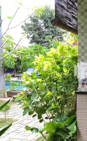 Visual Inn