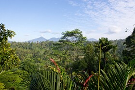 Adiwana Dara Ayu