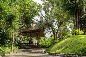 Buahan, A Banyan Tree Escape